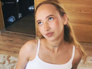 web chat VeniceMidden