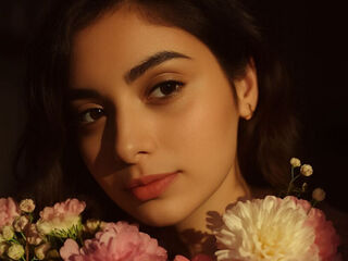 beautiful girl cam ZaylaAmin